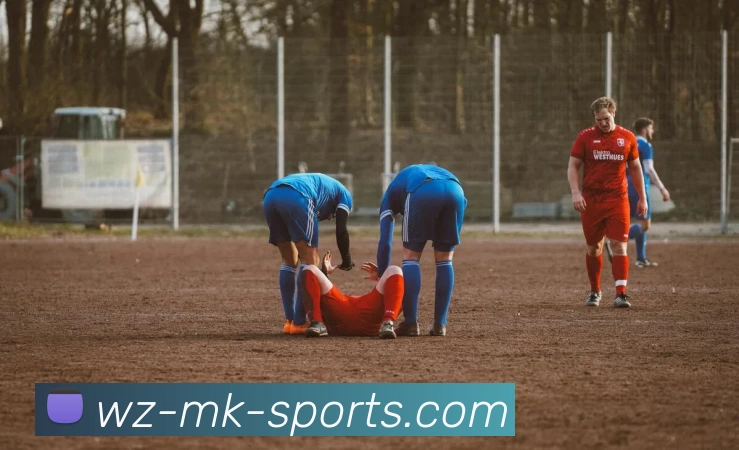 mk体育平台生态图