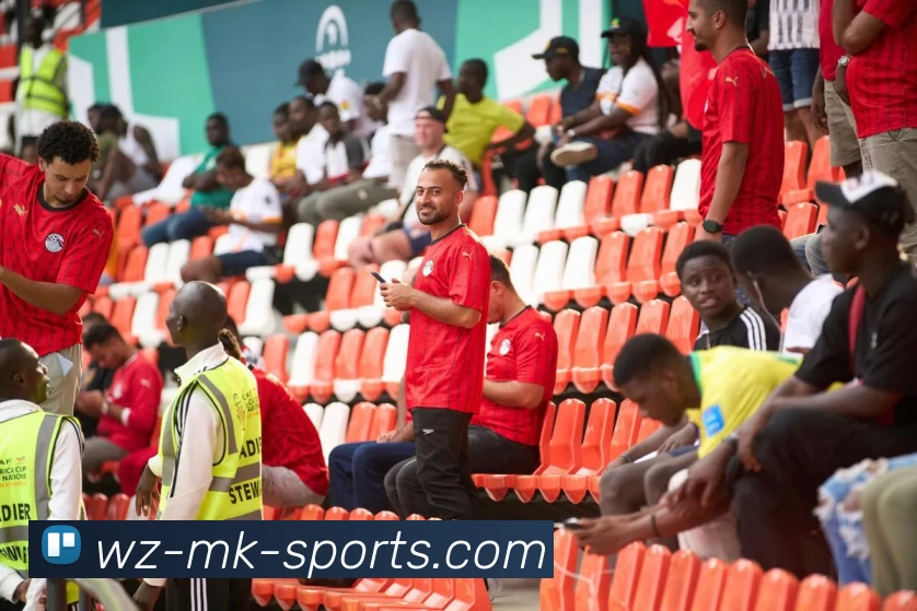 mk体育APP 封面图